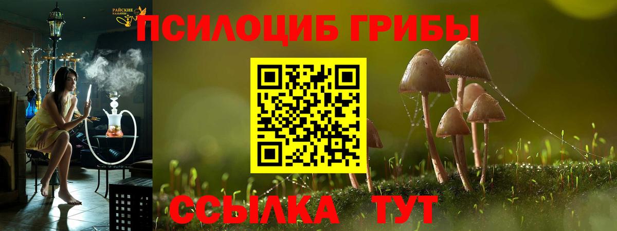 Галлюциногенные грибы Psilocybine cubensis  Вход с VPN  Тихорецк 